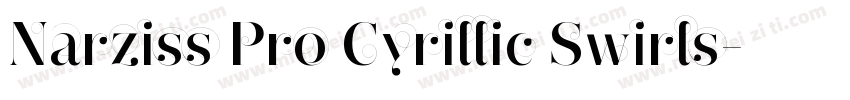 Narziss Pro Cyrillic Swirls字体转换